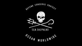 Motolab SUPPORTS Sea Sheperd !