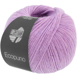 Ecopuno 092