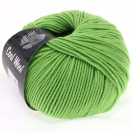 Cool Wool Melange  509