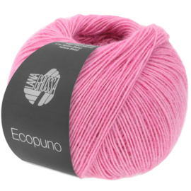 Ecopuno 082