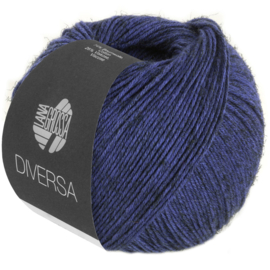 Diversa 017