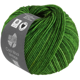 Cool Wool Vintage 73724 Groen