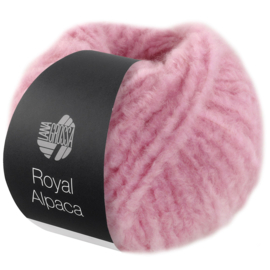 Royal Alpaca 07