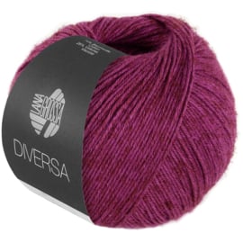 Diversa 25