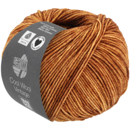 Cool Wool Vintage 7363 Roest 