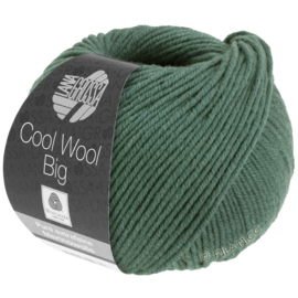 Cool Wool Big 1004 Oud donker groen