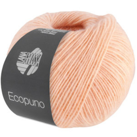 Ecopuno 099