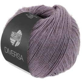 Diversa 24