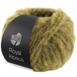 Royal Alpaca 012
