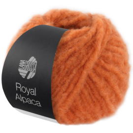Royal Alpaca 04