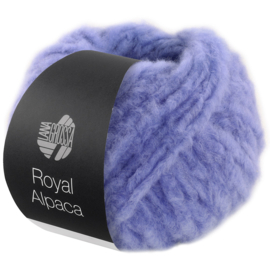 Royal Alpaca 08