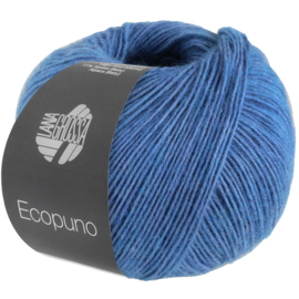 Ecopuno 098