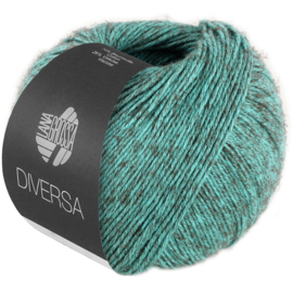 Diversa 27