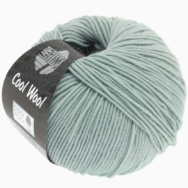 Cool Wool 2028