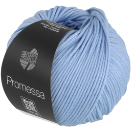 Promessa 021