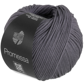 Promessa 019