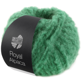 Royal Alpaca 013