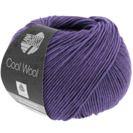 Cool Wool 2100