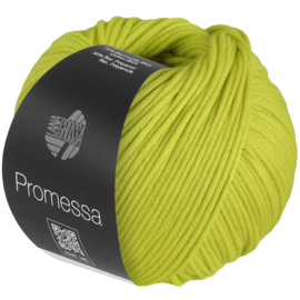 Promessa 011