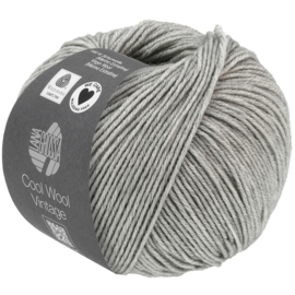 Cool Wool Vintage 7369 Licht grijs