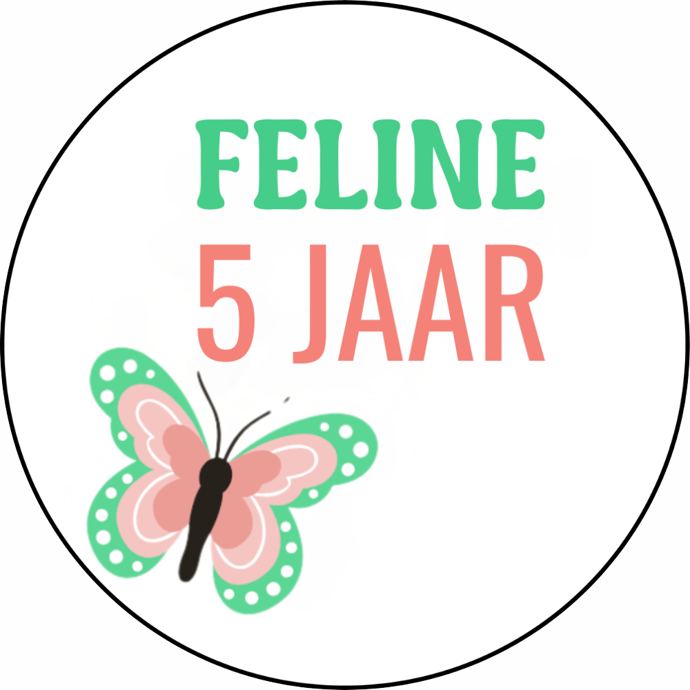 Traktatiestickers | + naam + leeftijd | vlinder | 24 stuks