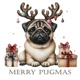 Strijk applicatie | Mery Pugmas | 20 x 20 cm