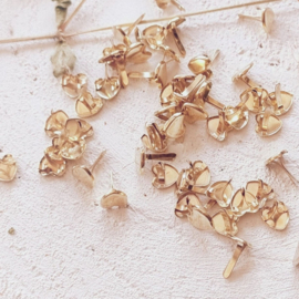 Hartjes splitpen | goud | 9 mm