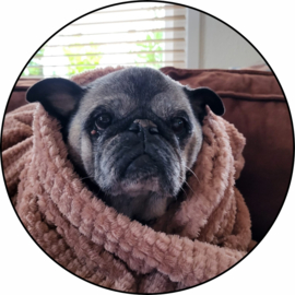 Fotostickers rond [glanzend] 5 cm | verkrijgbaar vanaf 10 stuks