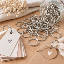 Zilverkleurige metalen ringen – 2,5 cm – 5 stuks