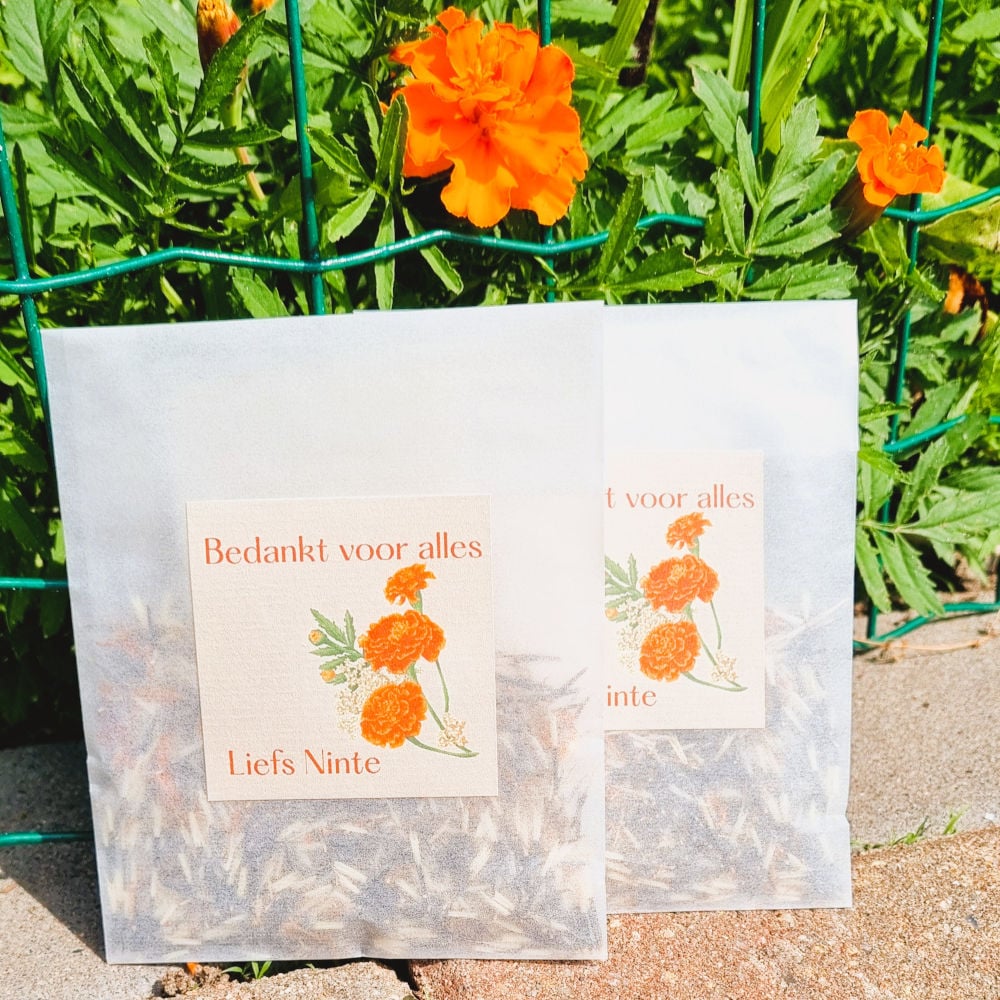 Bedankje | bloemzaadjes | Afrikaantjes | Bedankt voor alles + naam