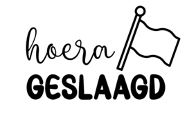 Geslaagd stickers