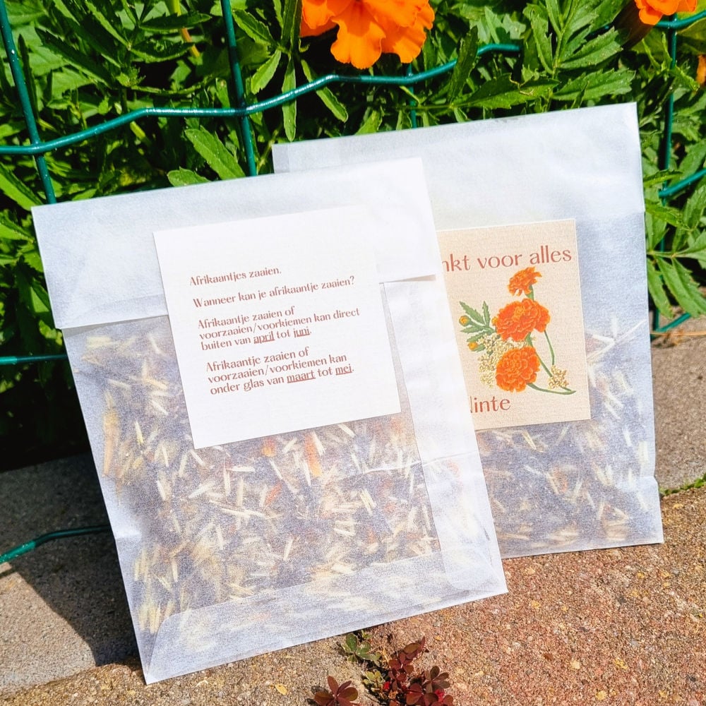 Bedankje | bloemzaadjes | Afrikaantjes | Bedankt voor alles + naam