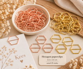 Hexagon paperclips 2,5 × 2,5 cm – goud & roségoud