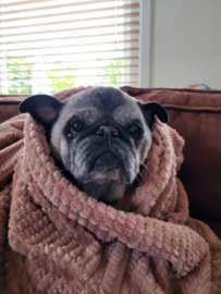 Fotostickers rond [glanzend] 5 cm | verkrijgbaar vanaf 10 stuks