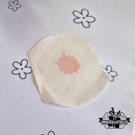 Vinyl sticker | bloem Daisy | 5 stuks