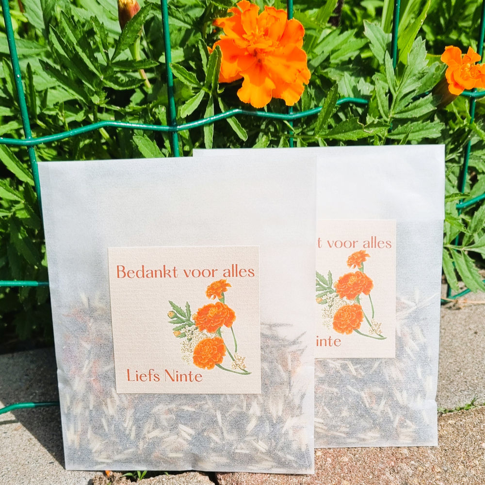 Bedankje | bloemzaadjes | Afrikaantjes | Bedankt voor alles + naam