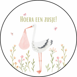 Geboorte stickers