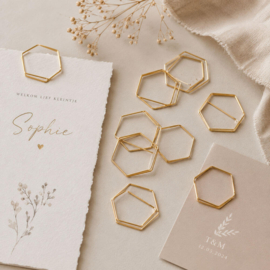 Hexagon paperclips 2,5 × 2,5 cm – goud & roségoud
