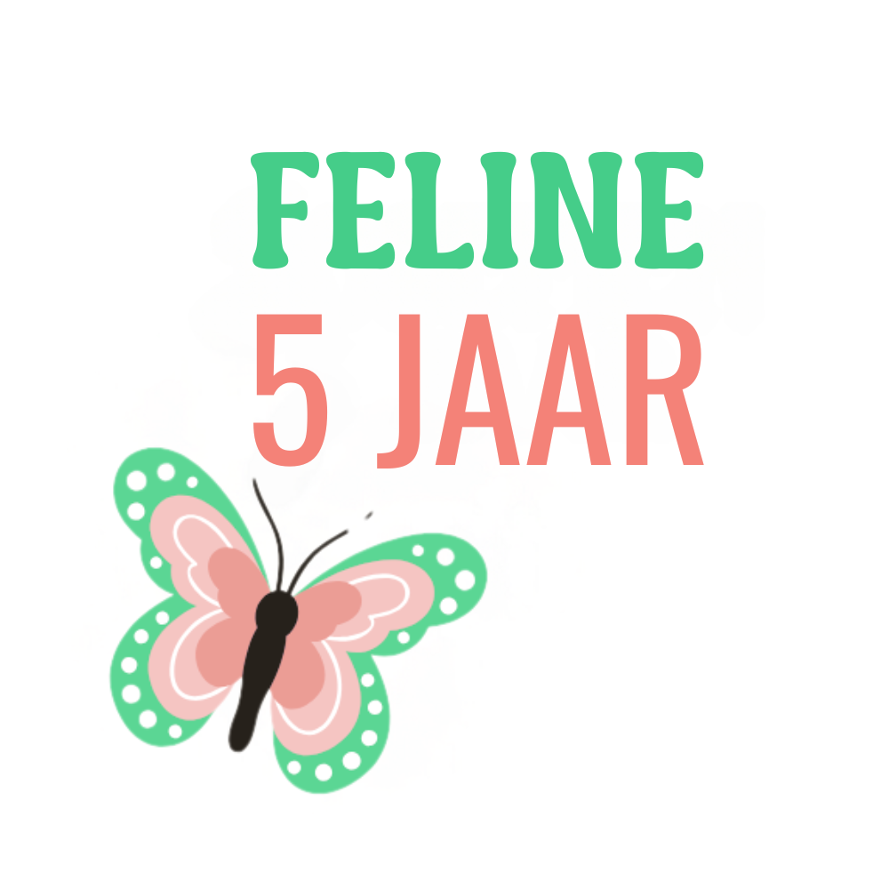 Traktatiestickers | + naam + leeftijd | vlinder | 24 stuks