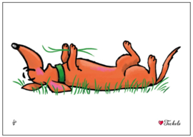 Ansichtkaart | Love Teckels | Gras