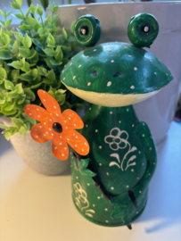 Decoratie | Kikker met bloem