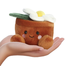 Palm Pals | Madeliefje | 13 cm