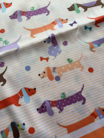 Sjaaltje | Teckels | Oranje