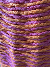 Kleurrijke Vaas | Roze en Oranje | Lauck en de Koning