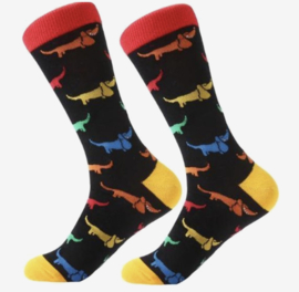 Teckelsokken | Gekleurde Teckels | Musthaves | Maat 39/40 tot 45