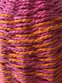 Kleurrijke Vaas | Roze en Oranje | Lauck en de Koning