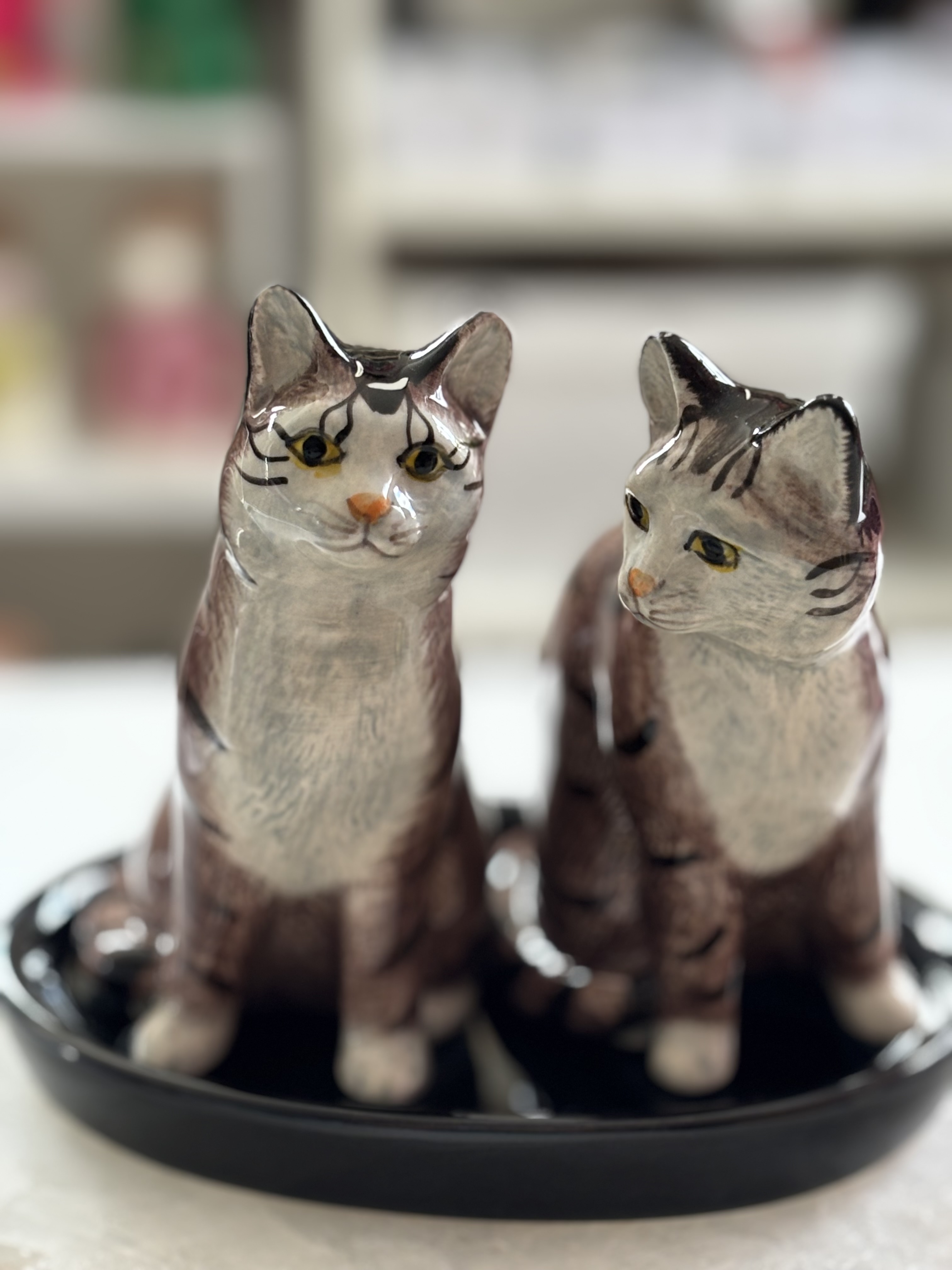 Peper en Zoutstelletje | Katten