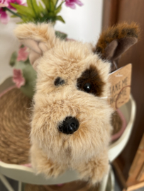 Pluche Knuffelhond | Take me Home