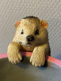 Pothanger | Egel