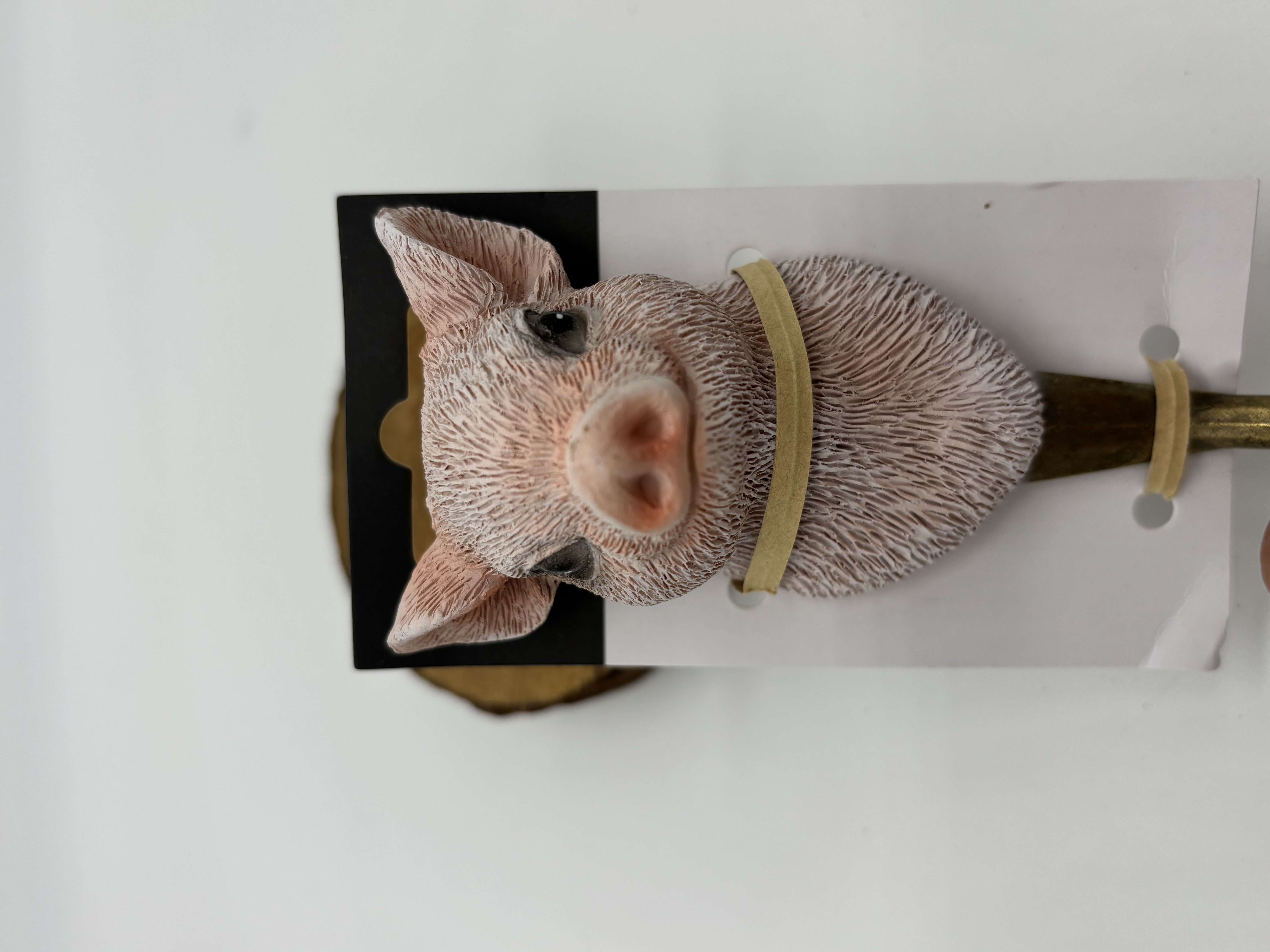 Wandhaak Varken | Esschert Design